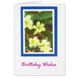 Primroses Birthday Card