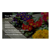 Primroses flowers business card template