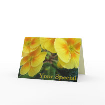Primroses Greeting Card