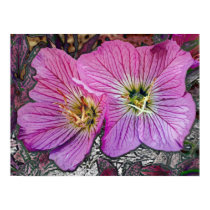Primroses posters by ljmundy Primroses posters