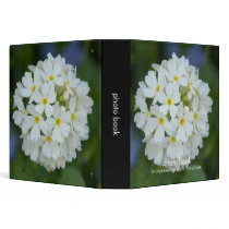Primula Denticulata Photo Book Binder