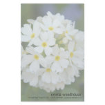 Primula Denticulata Custom Stationery