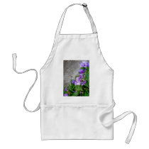 Primula marginata aprons