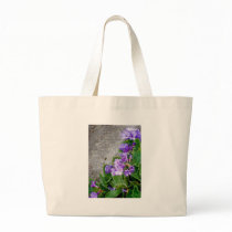 Primula marginata bags