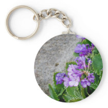 Primula marginata keychains