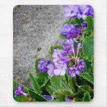 Primula marginata mousepads
