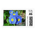 Primula postage by kokobaby Primula postage