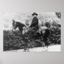 Prince Bismarck in Friedrichsruh, 1890 Posters