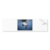 Prince Charming Bumper Sticker