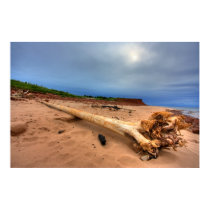 Prince Edward Island posters