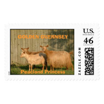 Princess and daughters, GOLDEN GUERNSEYPeaclond... postage