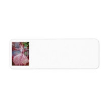 "Princess Bride" Return Address Labels
