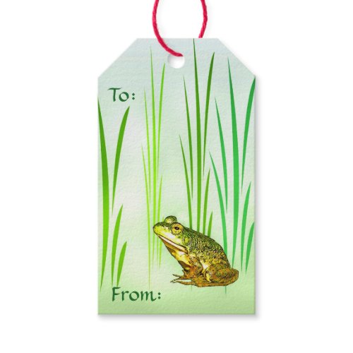 Princess  Charming Frog Pack of Gift Tags
