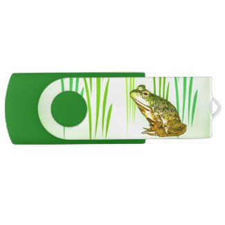 Princess Charming Frog Swivel USB 2.0 Flash Drive