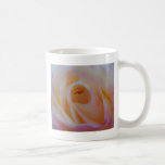 Princess Diana Rose mugs