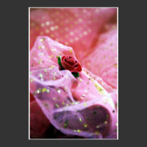 princess dreams posters