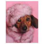 Princess Foo Foo Letterhead Design