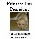 Princess For President t-shirts