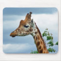 Princess Giraffe mousepads