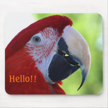 Princess Green Wing Macaw Mousepad