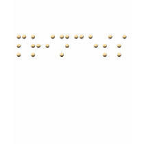 Princess in Braille t-shirts