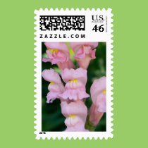 Princess Pink Snaps stamps
