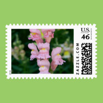 Princess Pink Snaps stamps