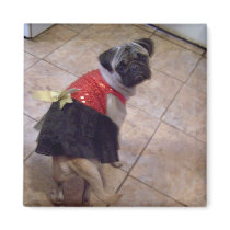 princess Pug magnet by KatAnnette princess Pug magnet