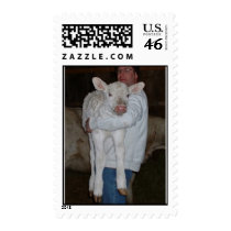 Princess Snow White postage
