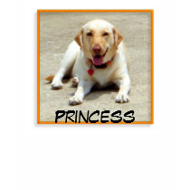 Princess T-shirt by zeena2 Princess T-shirt