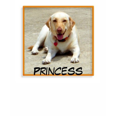 Princess T-shirt by zeena2
