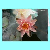 Princess Water Lily cards by codfishlady Princess Water Lily cards