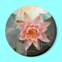 Princess Water Lily magnets by codfishlady Princess Water Lily magnets