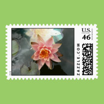Princess Water Lily stamps