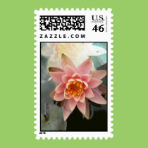 Princess Water Lily stamps