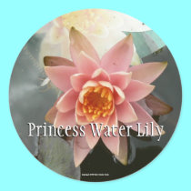 Princess Water Lily stickers by codfishlady Princess Water Lily stickers