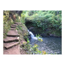 Princeville Ranch Private Pond posters by intuna Princeville Ranch Private Pond posters