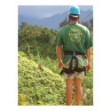 Princeville Ranch Zipline Tour posters by intuna Princeville Ranch Zipline Tour posters