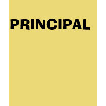 PRINCIPAL t-shirts