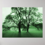PRINT - 2 Big Trees Green