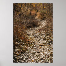 Print: All That Glitters...