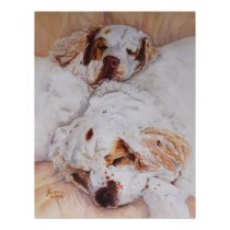print - Comfort - Two Clumber Spaniels