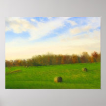 Print for Framing