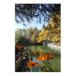 PRINT - Golden Reflections posters