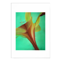 print-iris blue2 by traceyanne print-iris blue2