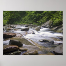 Print - Little Pigeon River, Great Smoky Mtns. NP,