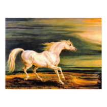 Print: Napoleon's Marengo by VintagePets Print: Napoleon's Marengo