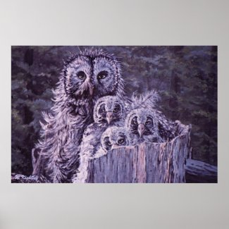 Print of Owl Family