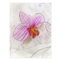 print of pink orchid drawing postcards