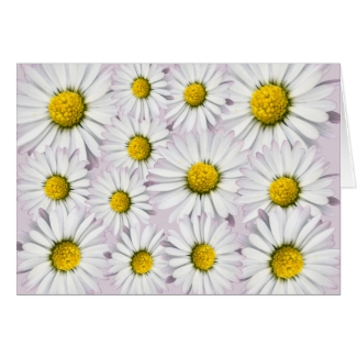 Print of yellow and white daisies